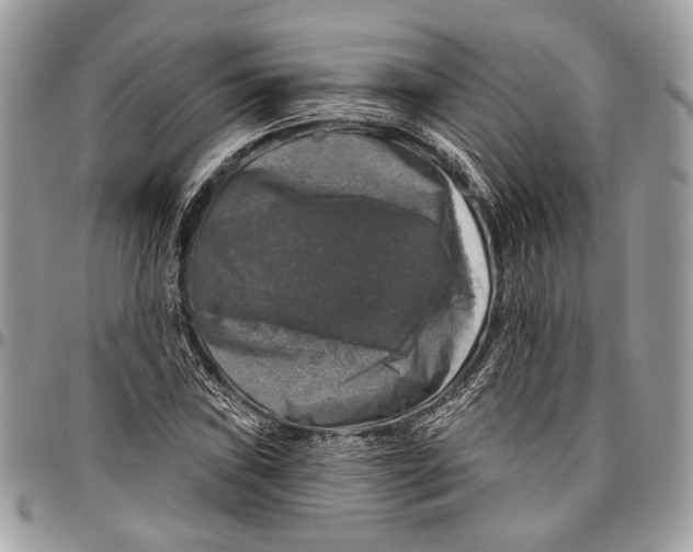 X0000096471019200802141653