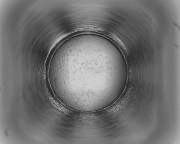 X0000096471020200802141653