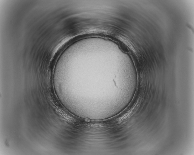 X0000096471021200802141653