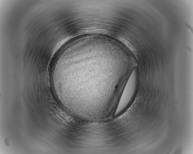 X0000096471022200802141653