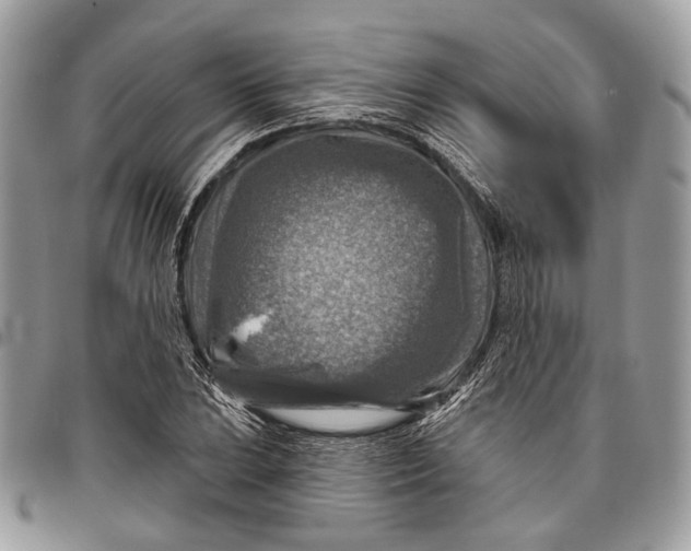 X0000096471023200802141653