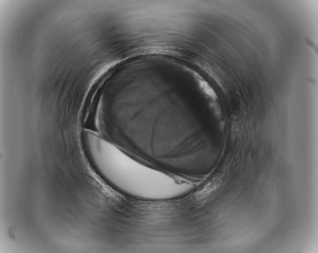 X0000096471024200802141653