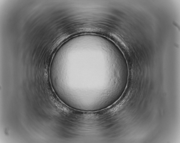 X0000096471025200802141653