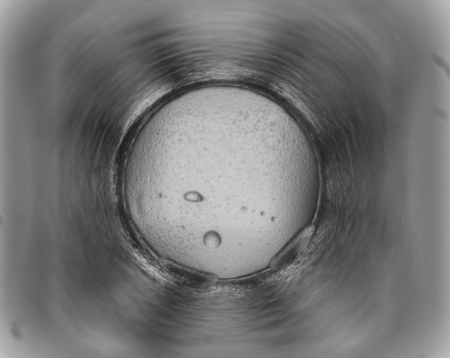 X0000096471026200802141653