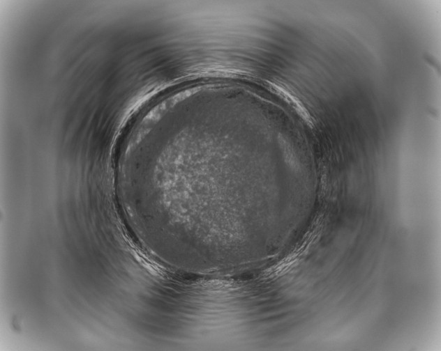 X0000096471027200802141653