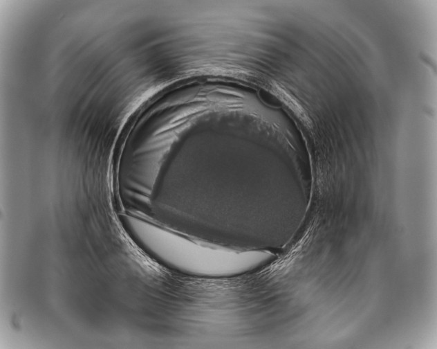 X0000096471028200802141653