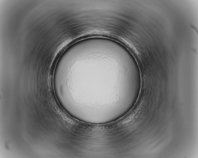 X0000096471029200802141653