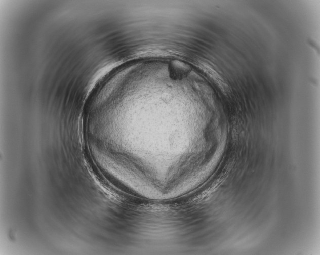 X0000096471030200802141653