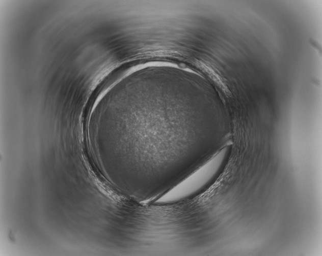 X0000096471031200802141653