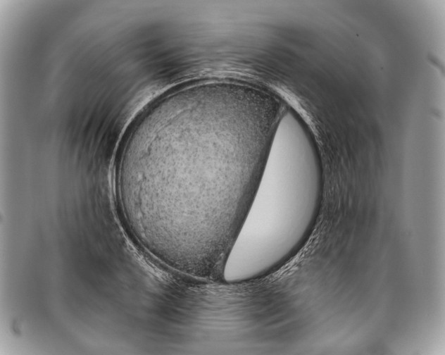 X0000096471032200802141653