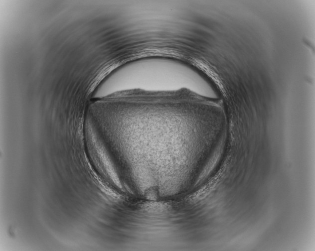 X0000096471033200802141653