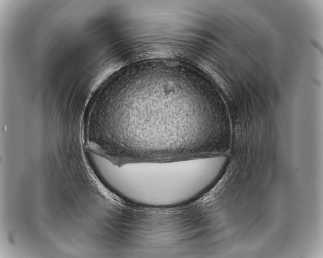 X0000096471034200802141653