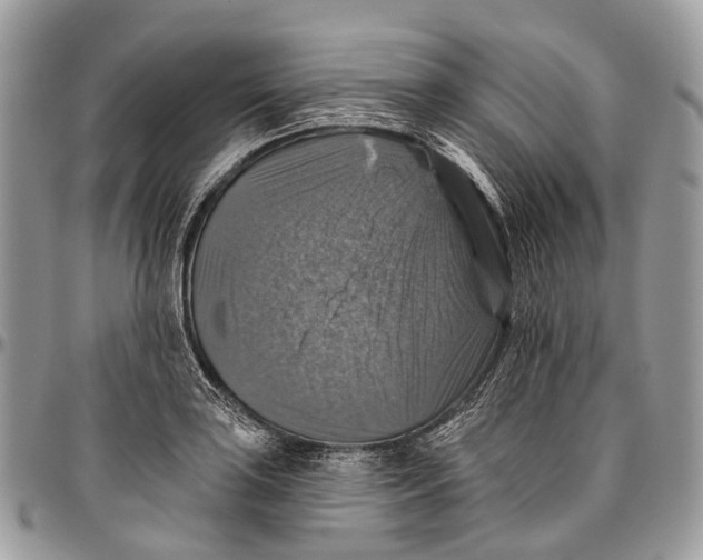 X0000096471035200802141653