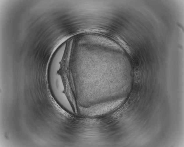 X0000096471036200802141653