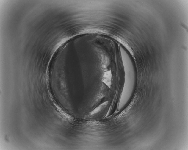 X0000096471037200802141653