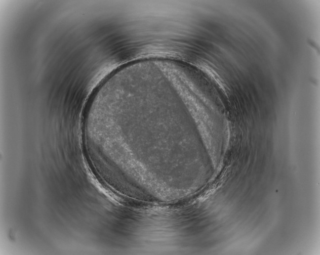 X0000096471038200802141653