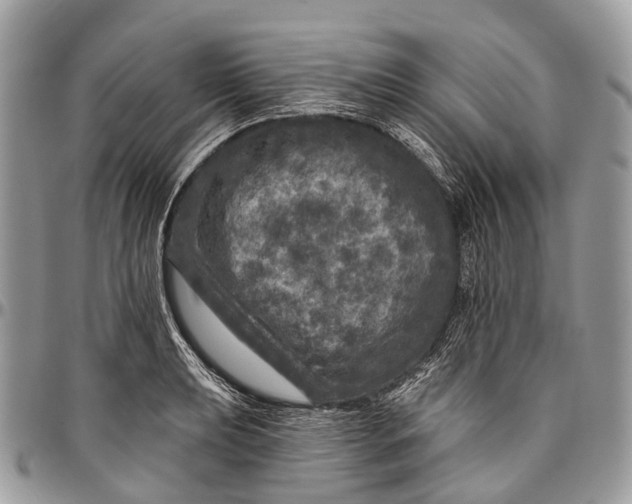 X0000096471039200802141653