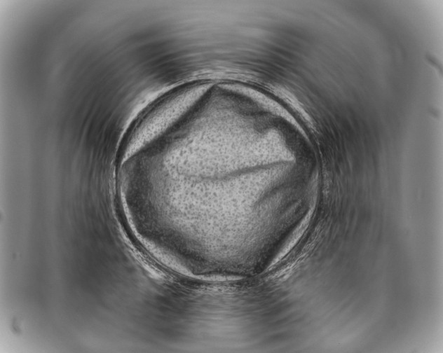 X0000096471040200802141653