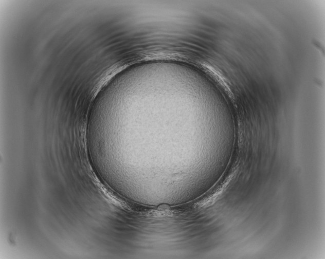 X0000096471041200802141653