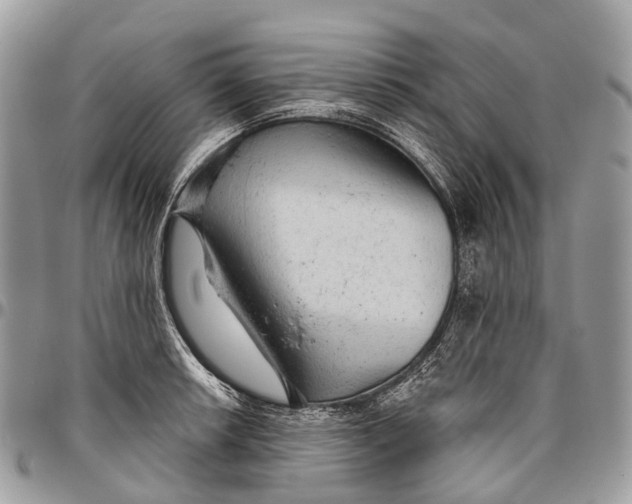 X0000096471042200802141653