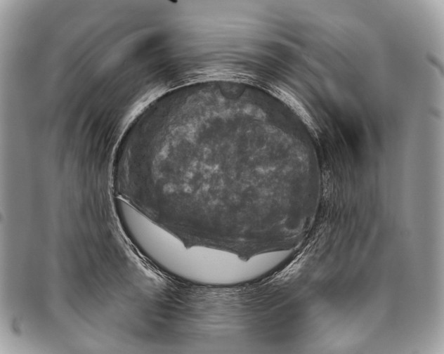 X0000096471043200802141653