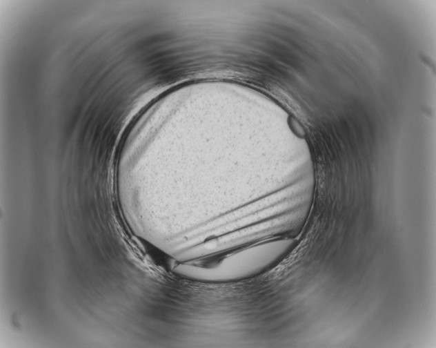 X0000096471044200802141653