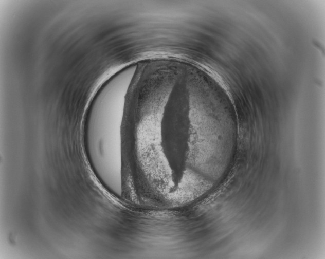 X0000096471045200802141653