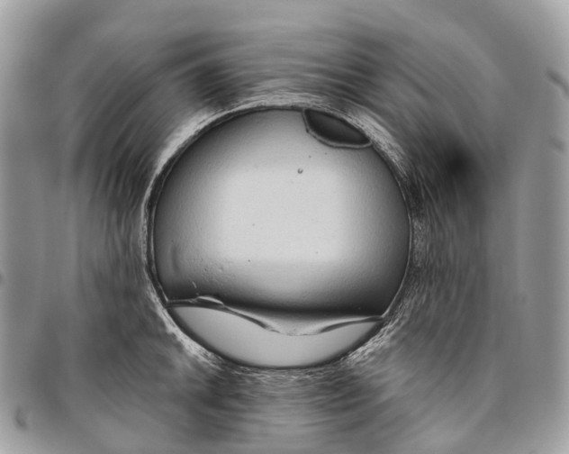 X0000096471046200802141653