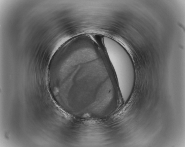 X0000096471048200802141653