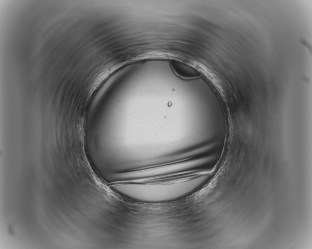 X0000096471049200802141653