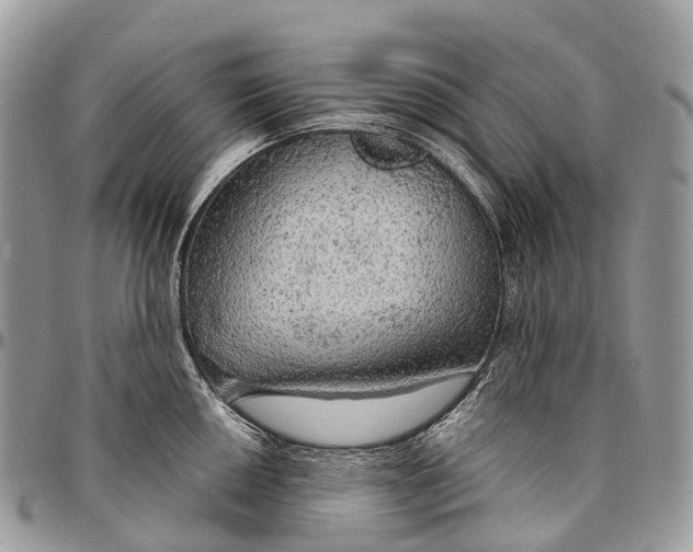 X0000096471050200802141653