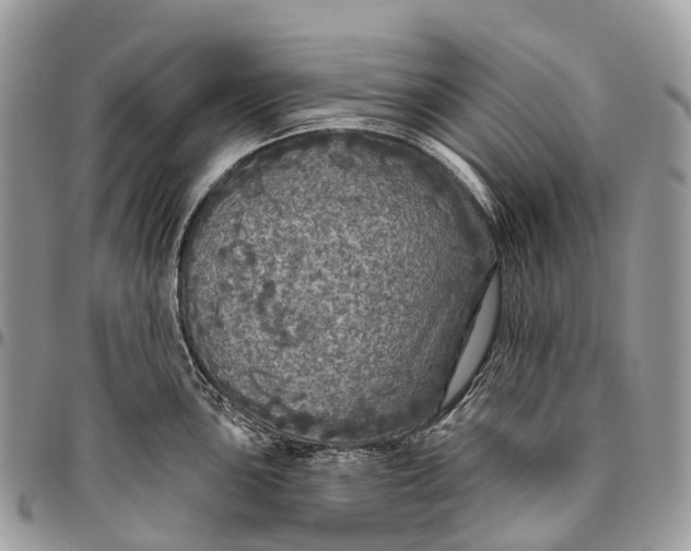 X0000096471051200802141653