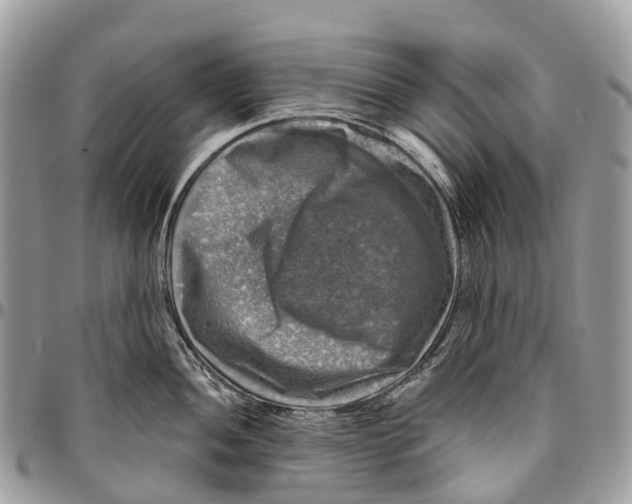 X0000096471052200802141653