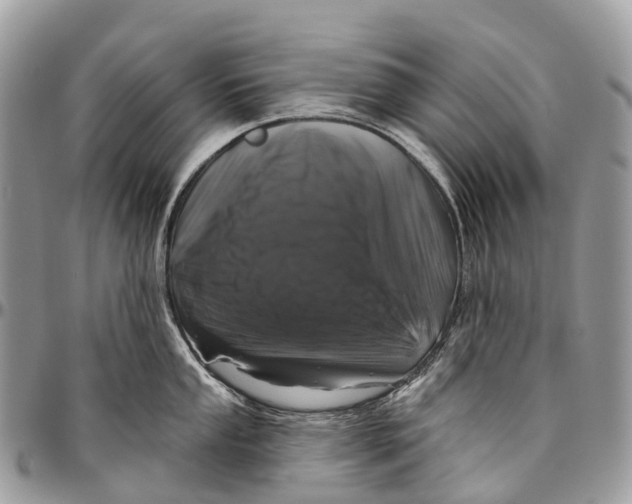 X0000096471053200802141653