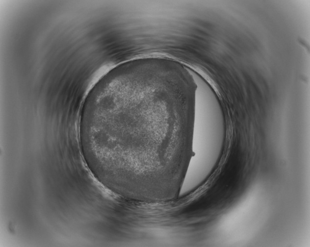 X0000096471054200802141653