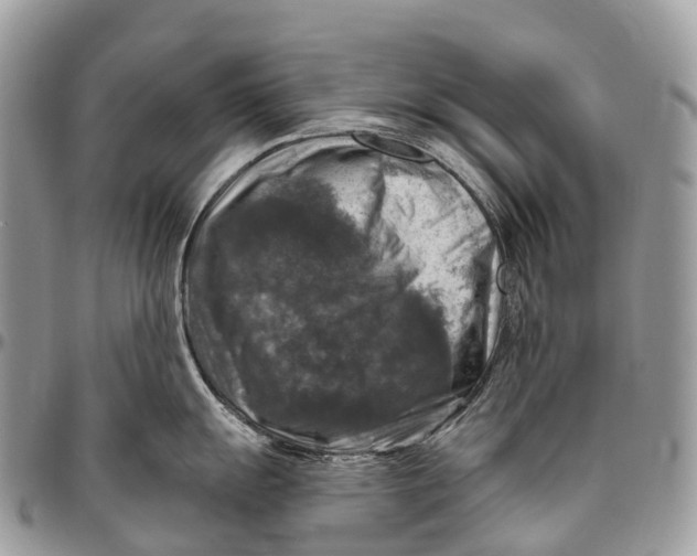 X0000096471055200802141653