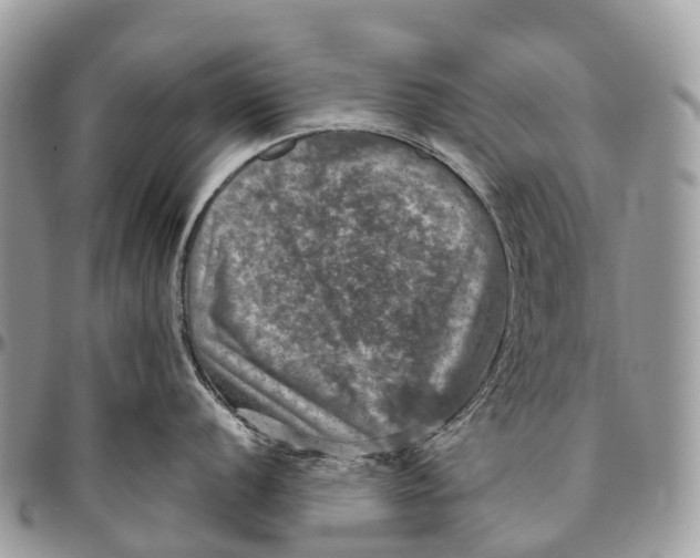 X0000096471056200802141653