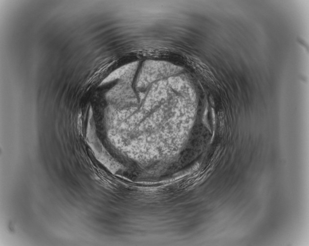 X0000096471060200802141652