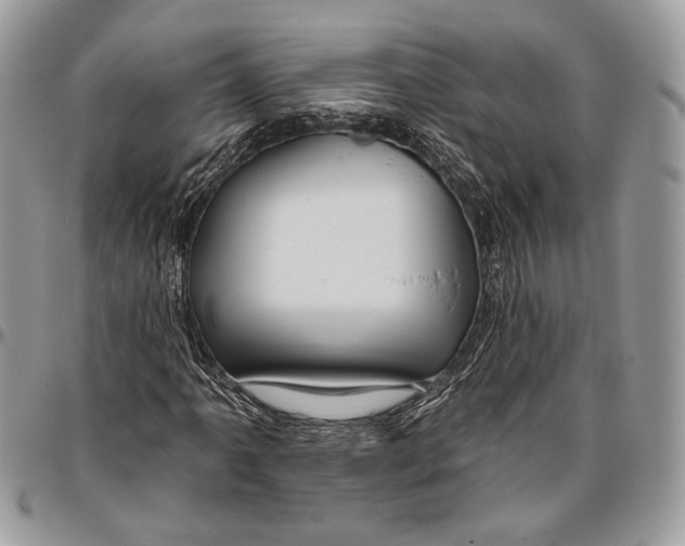 X0000096471061200802141652