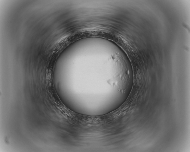 X0000096471062200802141652