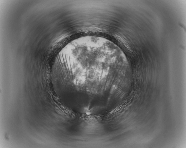 X0000096471063200802141652