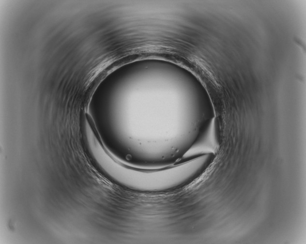 X0000096471065200802141652