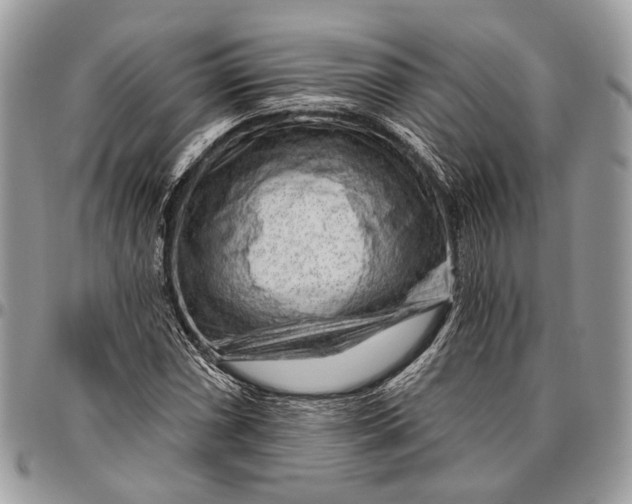 X0000096471066200802141652