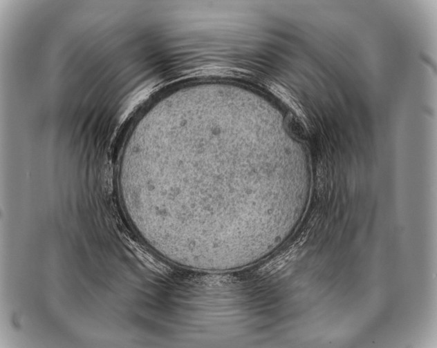 X0000096471067200802141652