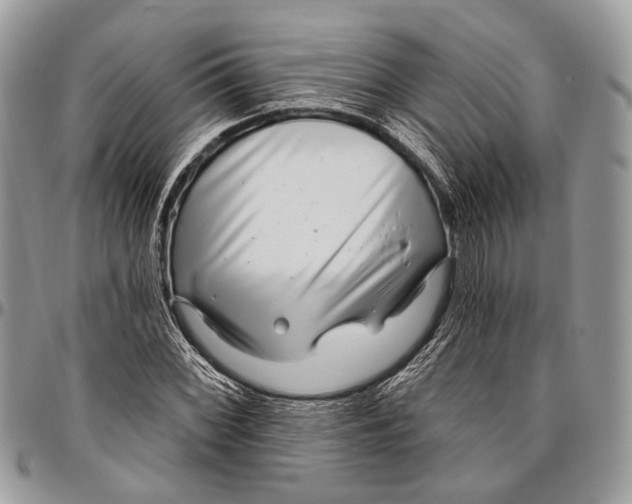 X0000096471068200802141652