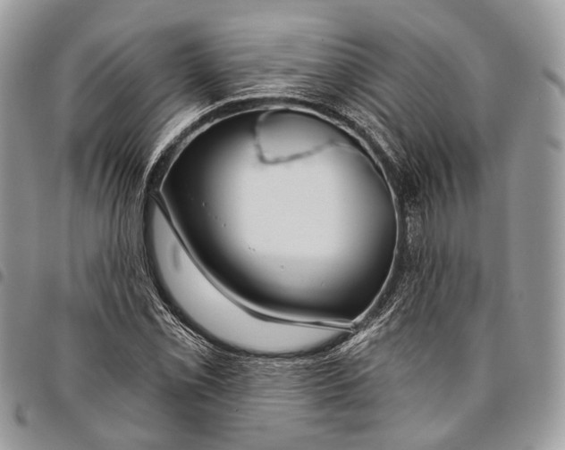 X0000096471069200802141652