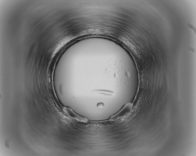 X0000096471070200802141652