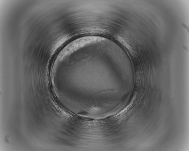 X0000096471071200802141652