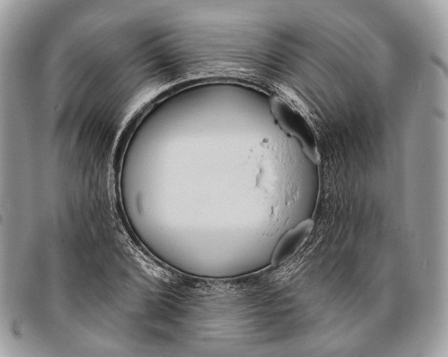 X0000096471072200802141652