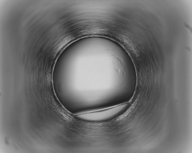 X0000096471073200802141652